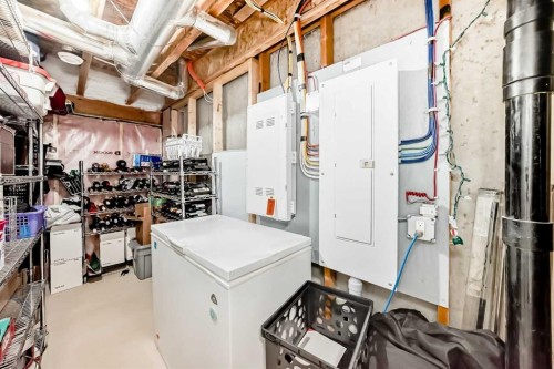 52 Walden Lane Se, Calgary, AB - Indoor Photo Showing Basement