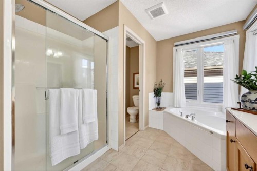 865 Citadel Way Nw, Calgary, AB - Indoor Photo Showing Bathroom