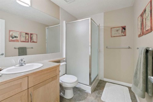 202 Tusslewood Terrace Nw, Calgary, AB - Indoor Photo Showing Bathroom