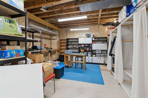 202 Tusslewood Terrace Nw, Calgary, AB - Indoor Photo Showing Basement