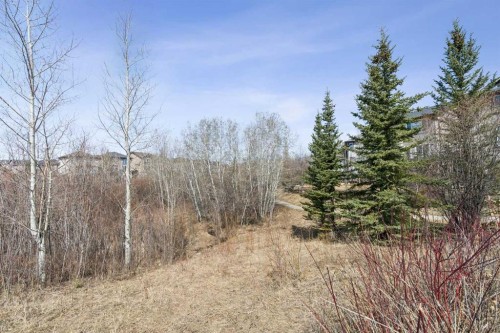 202 Tusslewood Terrace Nw, Calgary, AB - Outdoor With View