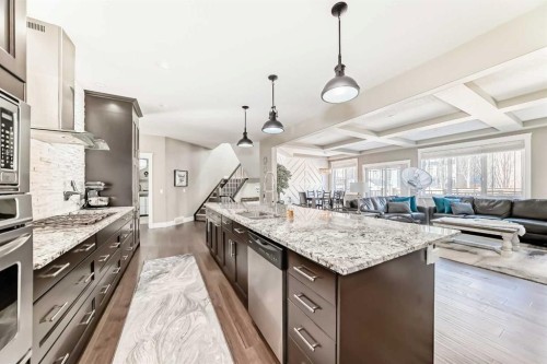 120 Kinniburgh Circle, Chestermere, AB - Indoor Photo Showing Kitchen With Upgraded Kitchen