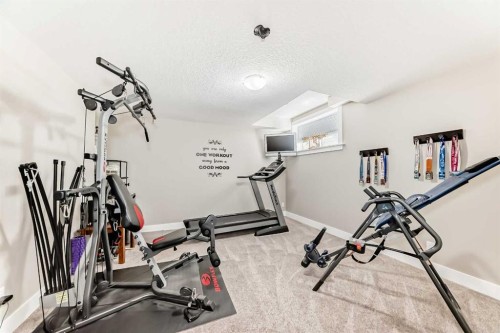 120 Kinniburgh Circle, Chestermere, AB - Indoor Photo Showing Gym Room