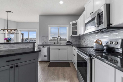 328 Rainbow  Falls Way, Chestermere, AB - Indoor Photo Showing Kitchen With Upgraded Kitchen
