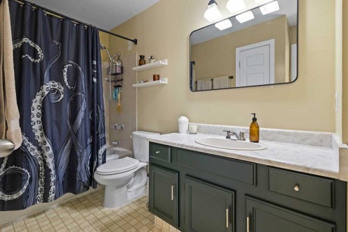 49 Castlebrook Way Ne, Calgary, AB - Indoor Photo Showing Bathroom