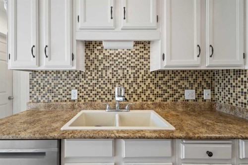 49 Castlebrook Way Ne, Calgary, AB - Indoor Photo Showing Kitchen With Upgraded Kitchen