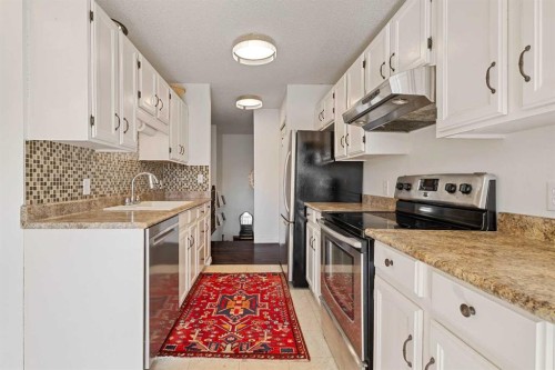 49 Castlebrook Way Ne, Calgary, AB - Indoor Photo Showing Kitchen With Stainless Steel Kitchen With Upgraded Kitchen