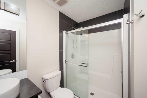 88 Pantego Lane Nw, Calgary, AB - Indoor Photo Showing Bathroom