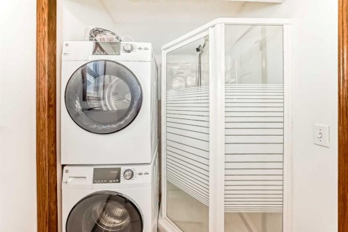 141 Arbour Crest Mews Nw, Calgary, AB - Indoor Photo Showing Laundry Room