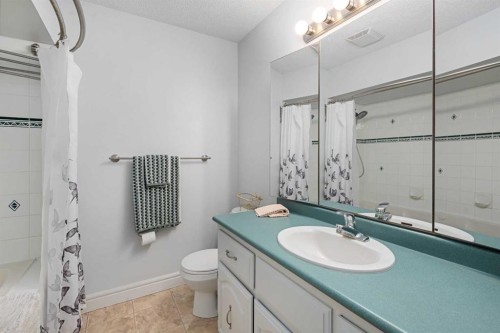155 Croxford Estates Ne, Airdrie, AB - Indoor Photo Showing Bathroom