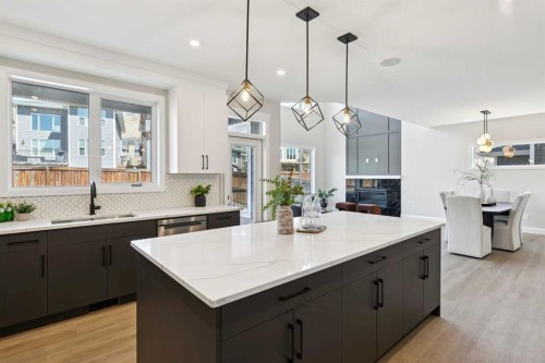 96 Cranbrook Way Se, Calgary, AB - Indoor Photo Showing Kitchen With Double Sink With Upgraded Kitchen