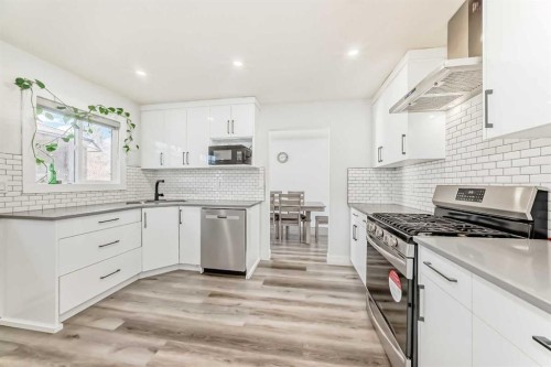 204 Whiteview Close Ne, Calgary, AB - Indoor Photo Showing Kitchen With Upgraded Kitchen