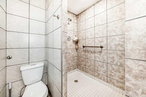 204 Whiteview Close Ne, Calgary, AB - Indoor Photo Showing Bathroom