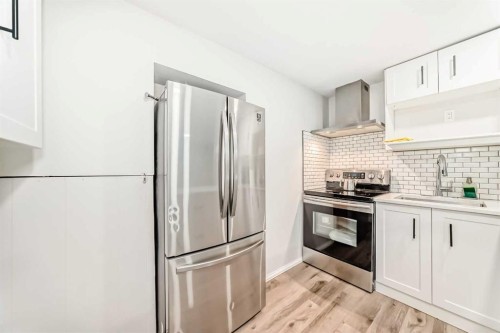 204 Whiteview Close Ne, Calgary, AB - Indoor Photo Showing Kitchen With Upgraded Kitchen