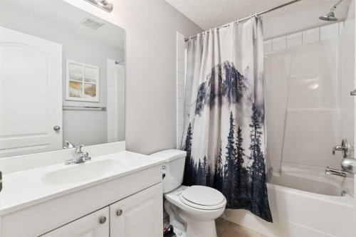 18 Bridlewood Way Sw, Calgary, AB - Indoor Photo Showing Bathroom