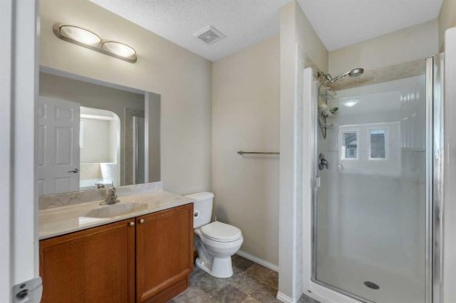 149 Saddlecrest Green Ne, Calgary, AB - Indoor Photo Showing Bathroom