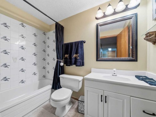 208 Shawnee Gardens Sw, Calgary, AB - Indoor Photo Showing Bathroom