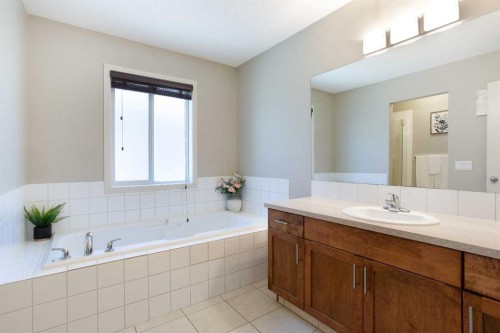 30 Cranwell Common Se, Calgary, AB - Indoor Photo Showing Bathroom