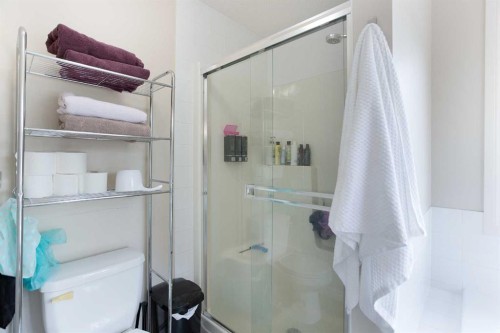 403 Morningside Way Sw, Airdrie, AB - Indoor Photo Showing Bathroom