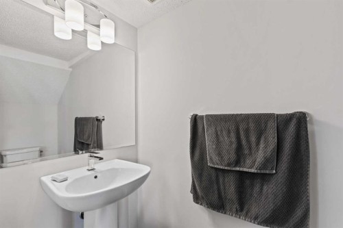 463 Cranbrook Square Se, Calgary, AB - Indoor Photo Showing Bathroom