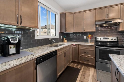 295 Carrington Circle Nw, Calgary, AB - Indoor Photo Showing Kitchen With Double Sink