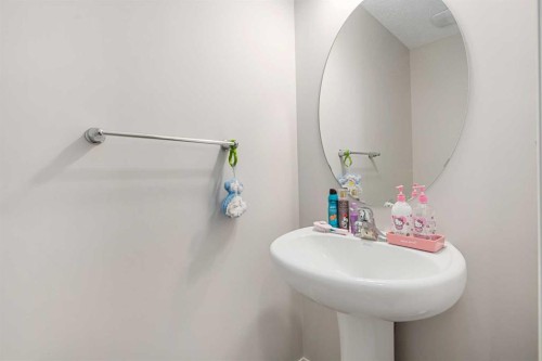 295 Carrington Circle Nw, Calgary, AB - Indoor Photo Showing Bathroom
