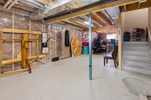 295 Carrington Circle Nw, Calgary, AB - Indoor Photo Showing Basement