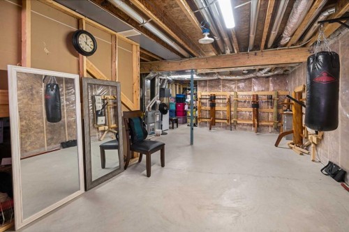 295 Carrington Circle Nw, Calgary, AB - Indoor Photo Showing Basement