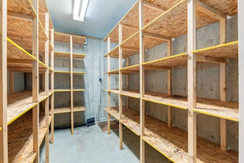 420 Hawkview Manor Circle Nw, Calgary, AB - Indoor With Storage
