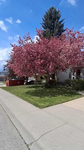 420 Hawkview Manor Circle Nw, Calgary, AB - Outdoor