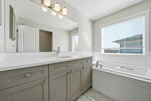 183 Savanna Parade Ne, Calgary, AB - Indoor Photo Showing Bathroom