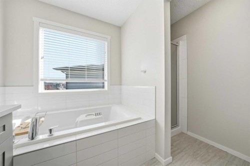 183 Savanna Parade Ne, Calgary, AB - Indoor Photo Showing Bathroom