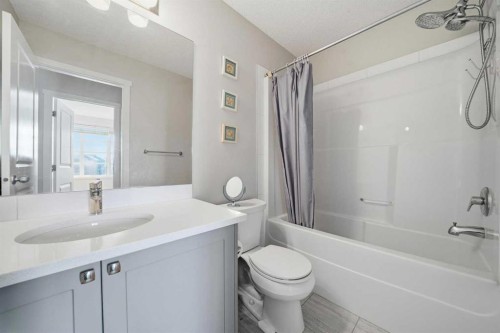 183 Savanna Parade Ne, Calgary, AB - Indoor Photo Showing Bathroom