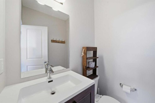 183 Savanna Parade Ne, Calgary, AB - Indoor Photo Showing Bathroom