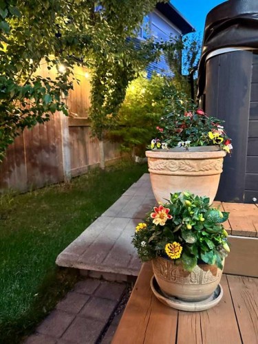 183 Savanna Parade Ne, Calgary, AB - Outdoor
