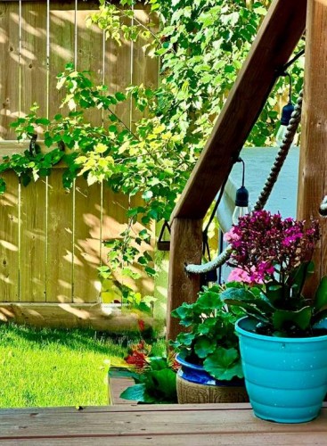183 Savanna Parade Ne, Calgary, AB - Outdoor