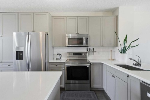 183 Savanna Parade Ne, Calgary, AB - Indoor Photo Showing Kitchen With Upgraded Kitchen
