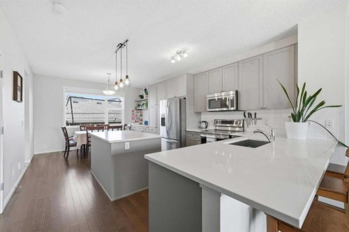 183 Savanna Parade Ne, Calgary, AB - Indoor Photo Showing Kitchen With Upgraded Kitchen