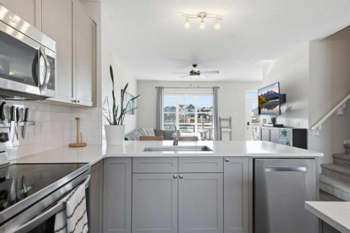 183 Savanna Parade Ne, Calgary, AB - Indoor Photo Showing Kitchen With Upgraded Kitchen