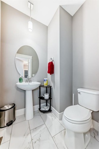 88 Masters Way Se, Calgary, AB - Indoor Photo Showing Bathroom