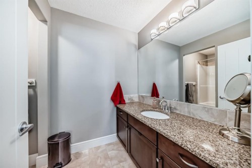 88 Masters Way Se, Calgary, AB - Indoor Photo Showing Bathroom