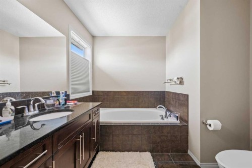 16 Cranarch Grove Se, Calgary, AB - Indoor Photo Showing Bathroom