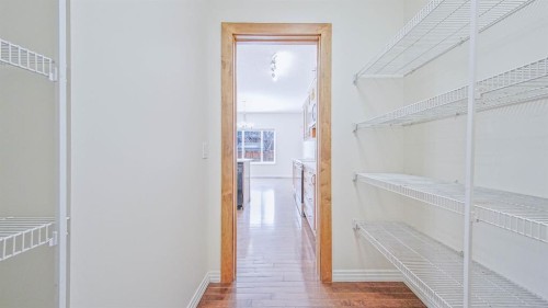 393 Windermere Drive, Chestermere, AB - Indoor With Storage