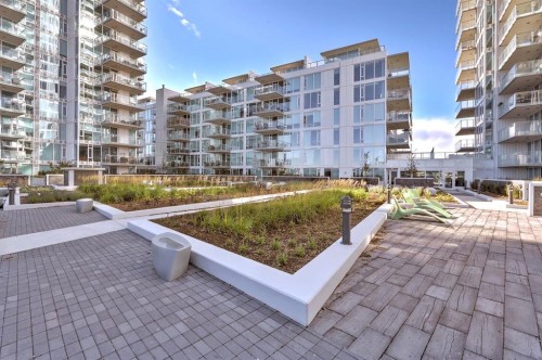 119 Confluence Mews Se, Calgary, AB - Outdoor