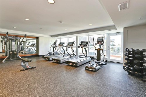 119 Confluence Mews Se, Calgary, AB - Indoor Photo Showing Gym Room