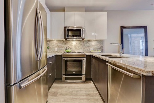 119 Confluence Mews Se, Calgary, AB - Indoor Photo Showing Kitchen With Stainless Steel Kitchen With Double Sink With Upgraded Kitchen