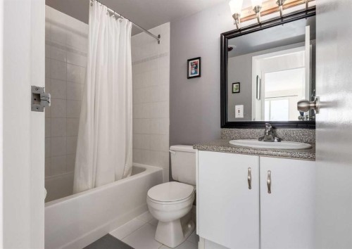 607-8948 Elbow Drive Sw, Calgary, AB - Indoor Photo Showing Bathroom
