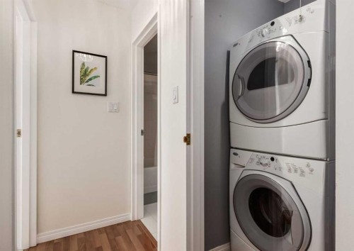 607-8948 Elbow Drive Sw, Calgary, AB - Indoor Photo Showing Laundry Room