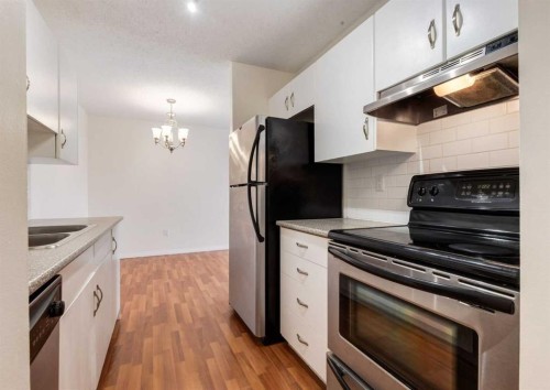 607-8948 Elbow Drive Sw, Calgary, AB - Indoor Photo Showing Kitchen With Double Sink