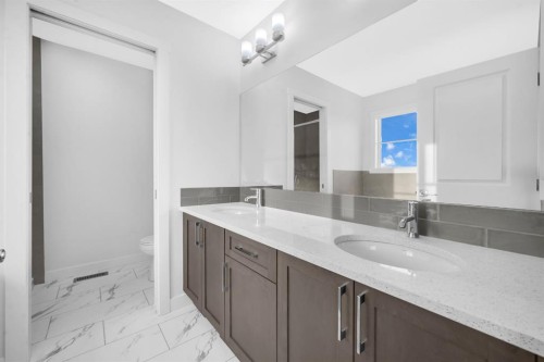 119 Homestead Common Ne, Calgary, AB - Indoor Photo Showing Bathroom